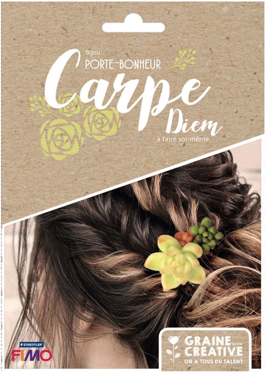 GRAINES CREATIVES - Geluksbrenger sieradenkit haarklemmen van Fimo succulenten