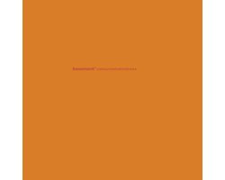 Basement - Colourmeinkindness (2 LP) (Deluxe Edition)