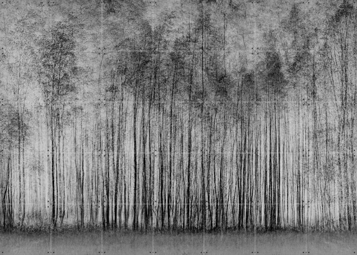 IXXI Impenetrable Forest, Various - 140 x 100 cm - Gratis ophangtool - Grote wanddecoratie en posters - Minimalisme, Fotografie, Woonkamer
