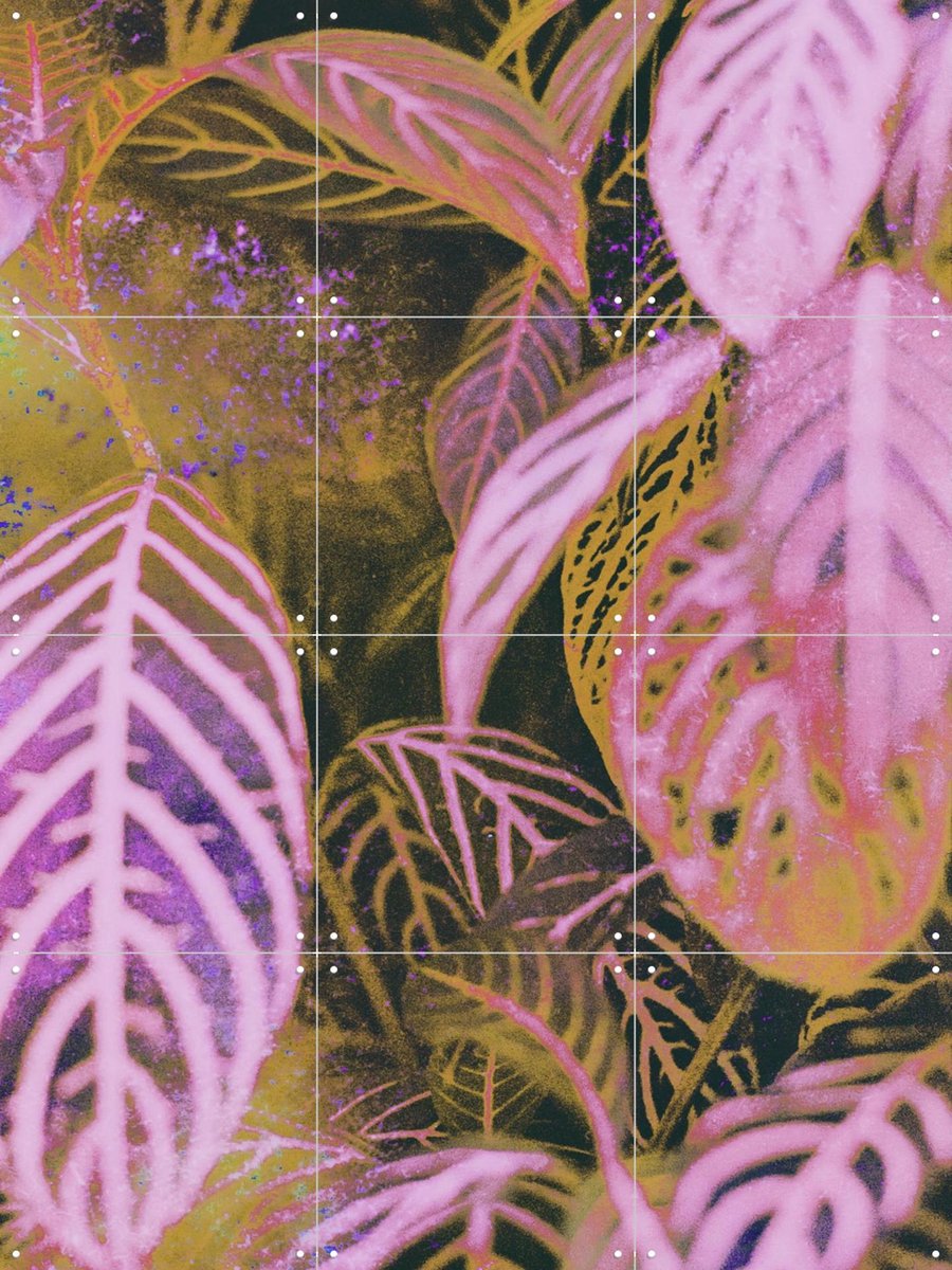 IXXI Seek, Amber Lauder - 60 x 80 cm - Gratis ophangtool - Grote wanddecoratie en posters - Illustraties, Kleurrijk, Digitale Kunst, Abstract