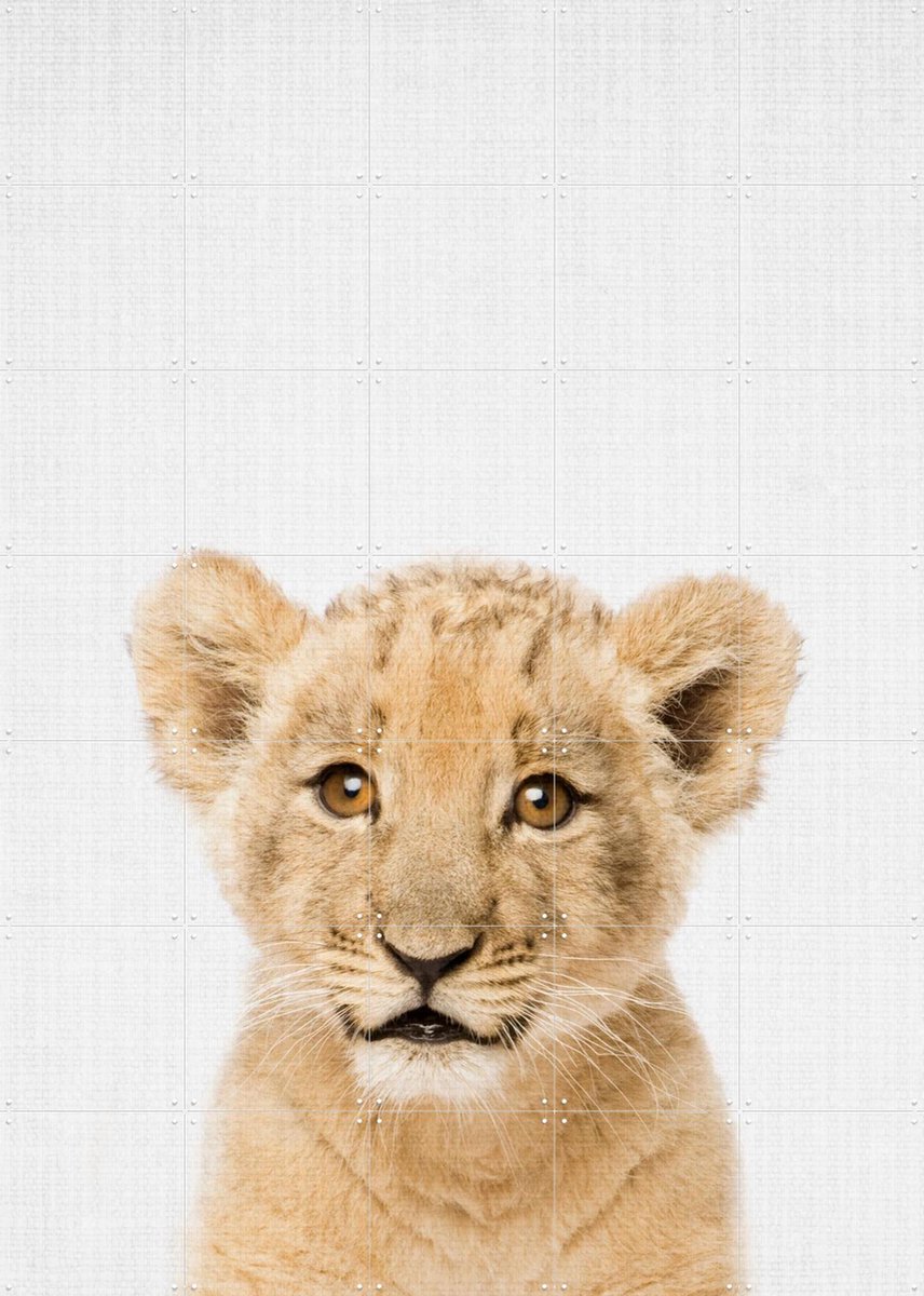 IXXI Baby lion - Brown eyes, Lila + Lola - 100 x 140 cm - Gratis ophangtool - Grote wanddecoratie en posters - Naturalisme, Realisme, Fotografie