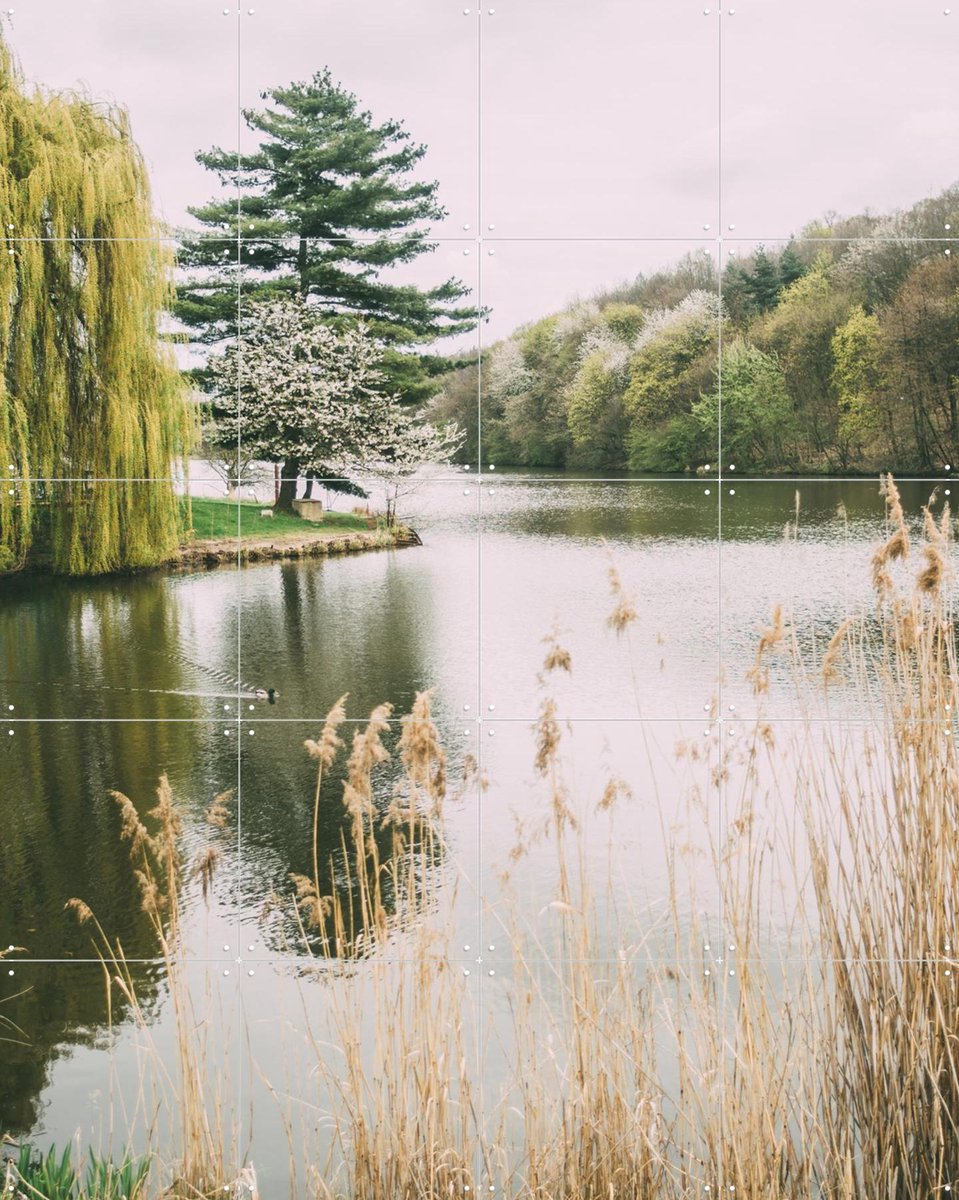 IXXI Tranquil Lake, Pati Photography - 80 x 100 cm - Gratis ophangtool - Grote wanddecoratie en posters - Naturalisme, Fotografie, Woonkamer