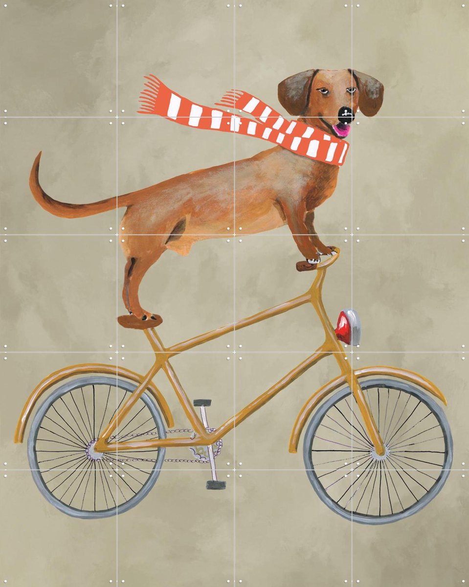 IXXI Dachshund on bicycle with scarf, Coco de Paris - 80 x 100 cm - Gratis ophangtool - Grote wanddecoratie en posters - Speels, Kleurrijk