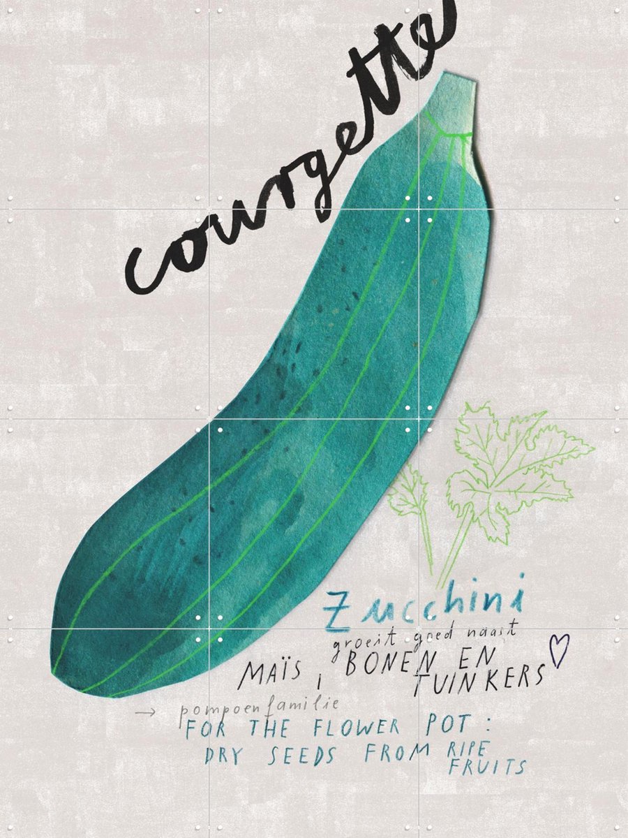 IXXI Courgette NL, Signorinah - 60 x 80 cm - Gratis ophangtool - Grote wanddecoratie en posters - Speels, Illustraties, Keuken, Eetkamer, Voedsel