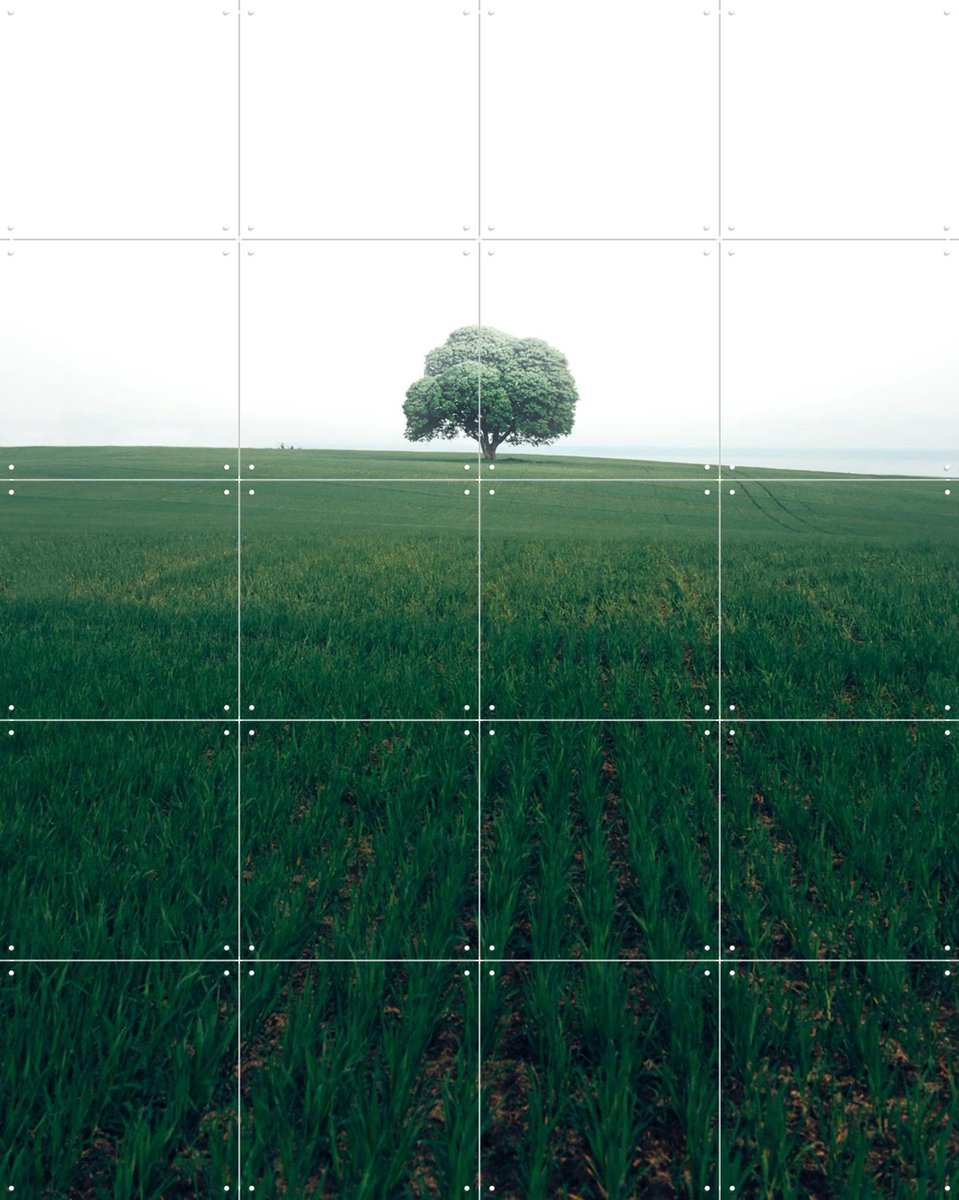 IXXI The lonely Oak Tree, Christian Lindsten & Various - 80 x 100 cm - Gratis ophangtool - Grote wanddecoratie en posters - Fotografie, Minimalisme