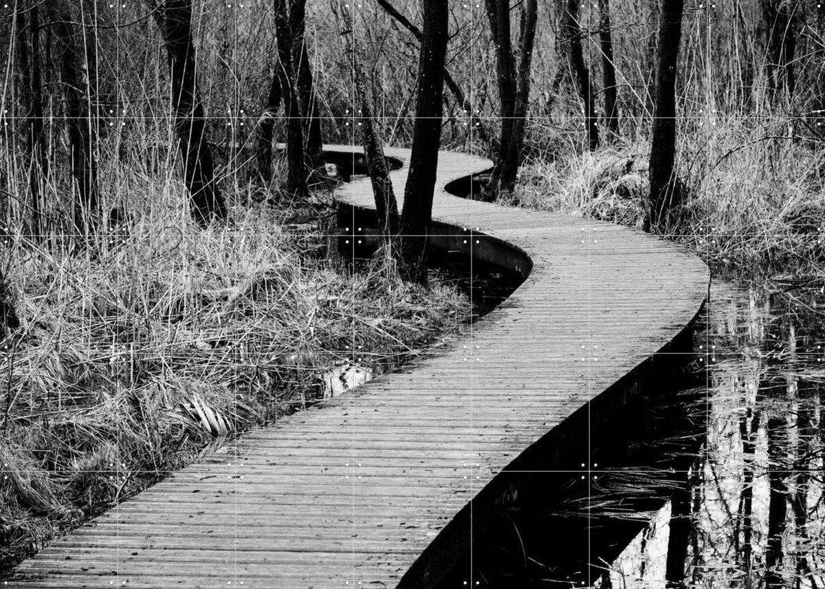 IXXI Moerputten in Den Bosch, Photolovers - 140 x 100 cm - Gratis ophangtool - Grote wanddecoratie en posters - Fotografie, Gang, Woonkamer