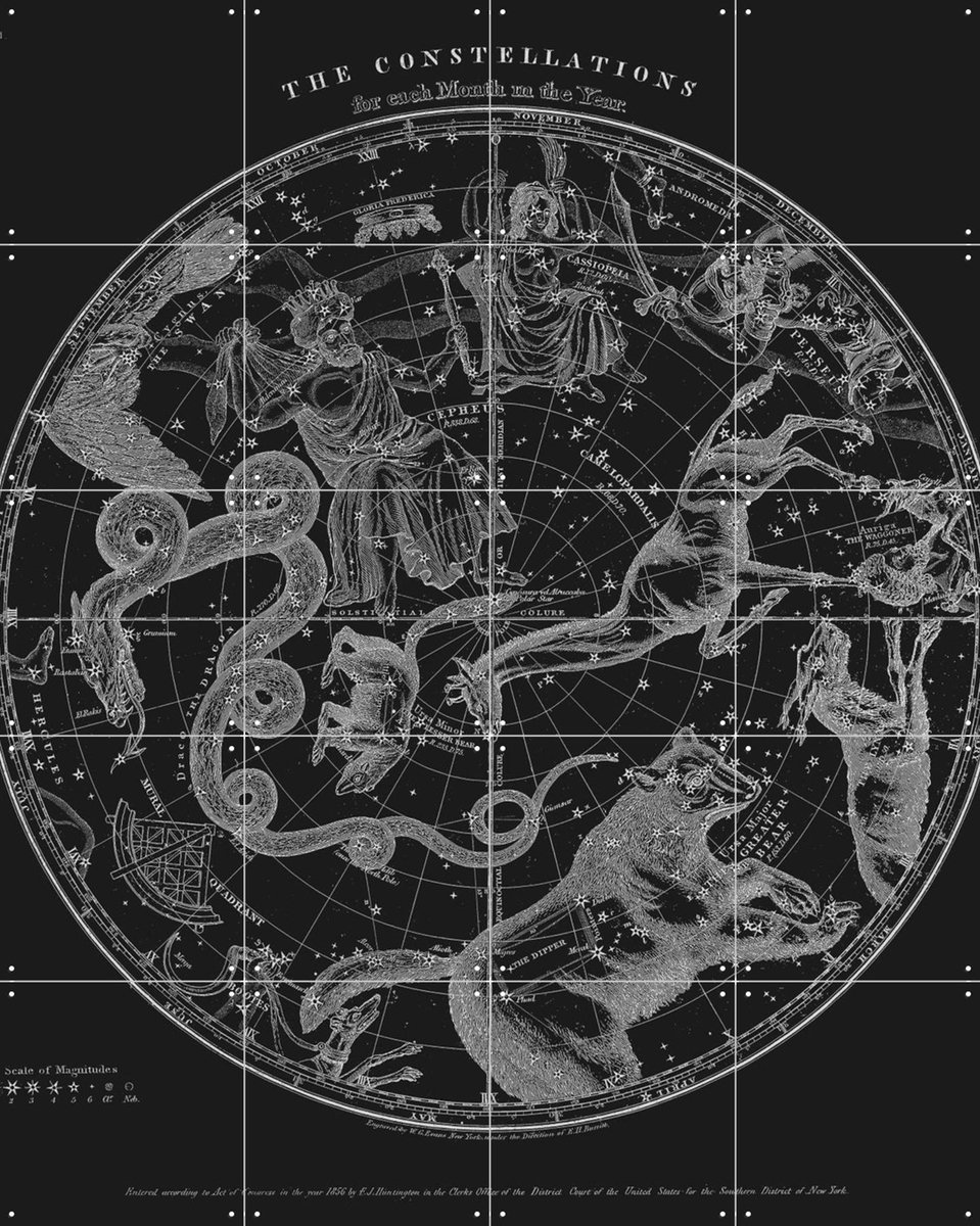 IXXI The Constellations black, Aster Edition - 80 x 100 cm - Gratis ophangtool - Grote wanddecoratie en posters - Vintage, Illustraties, Houtsnede