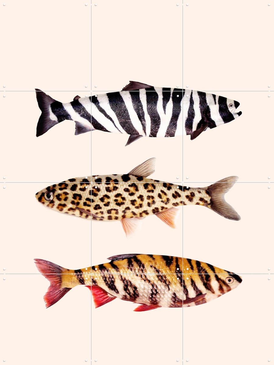 IXXI Fish Prints, Paul Fuentes - 60 x 80 cm - Gratis ophangtool - Grote wanddecoratie en posters - Illustraties, Grafisch Ontwerp, Speels, Houtsnede