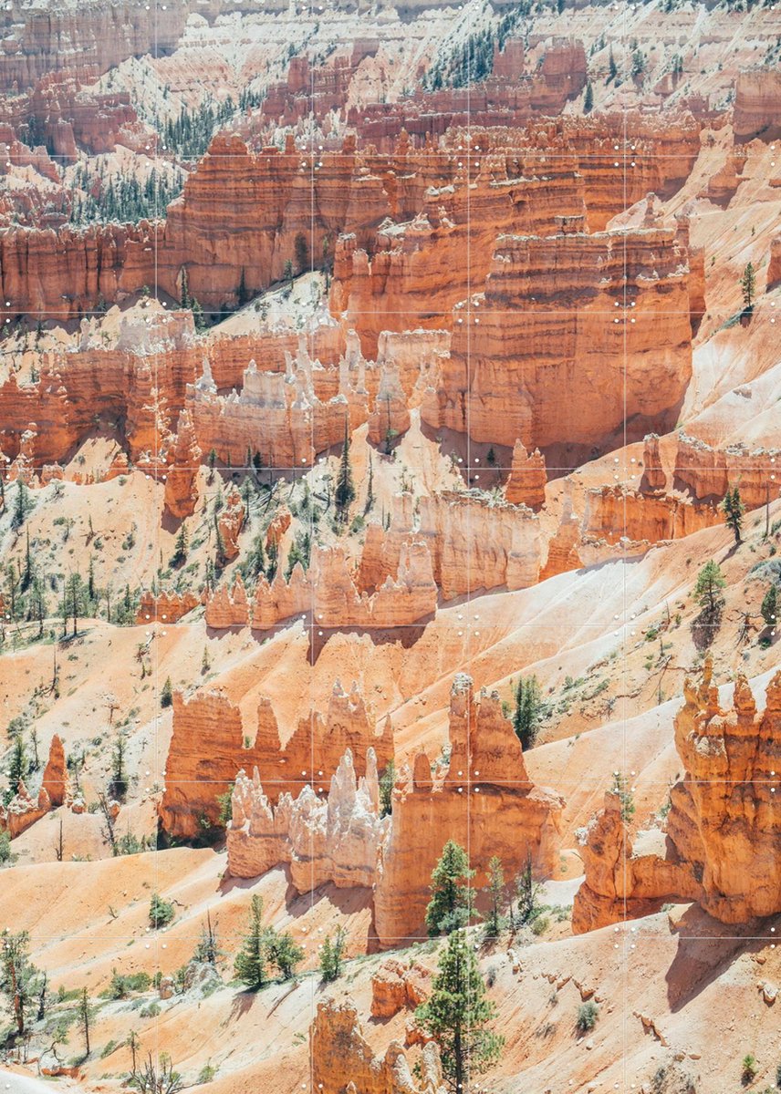 IXXI Bryce Canyon, Pati Photography - 100 x 140 cm - Gratis ophangtool - Grote wanddecoratie en posters - Fotografie, Naturalisme, Woonkamer, Mancave