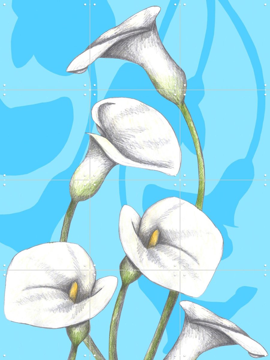 IXXI Calla Lily, Cecilia Battaini - 60 x 80 cm - Gratis ophangtool - Grote wanddecoratie en posters - Illustraties, Digitale Kunst, Grafisch Ontwerp