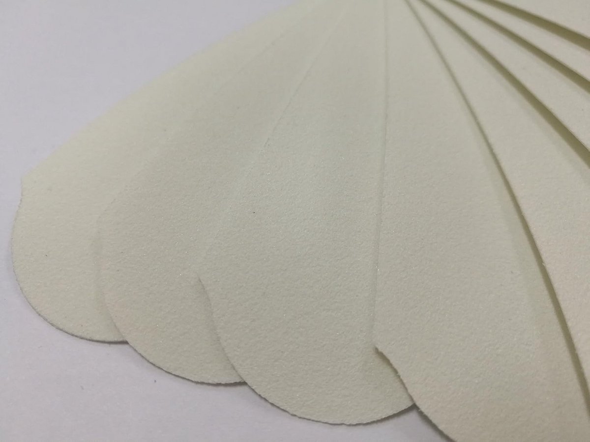Pedicure Vijlbladen Roestvrij Staal Navulbaar Nagelschaafpapier 180 Grit Wit 60 Stuks