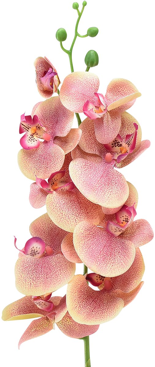 Orchidee Phalaenopsis kunst 9 bloemen roze vanille 96cm