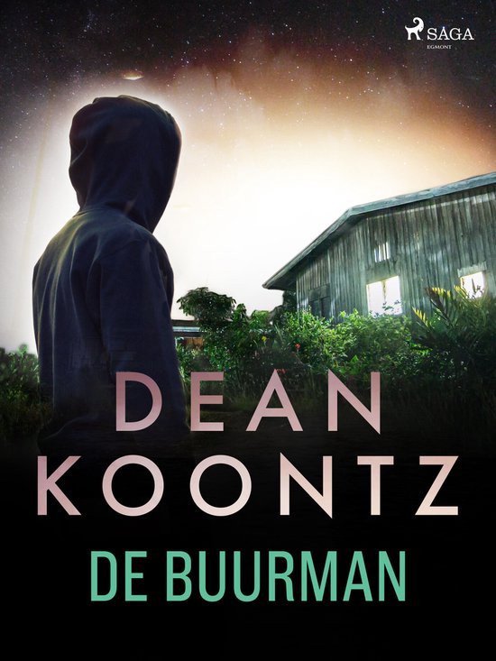 De Stad - De buurman - cover
