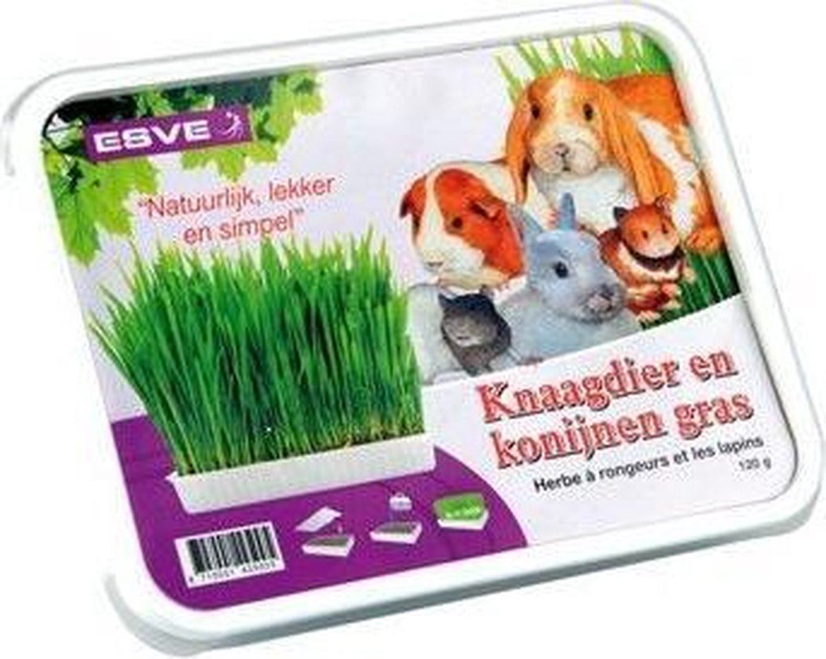 Esve knaagdiergras weidebloem