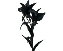 Kunstbloem lelie zwart 84cm