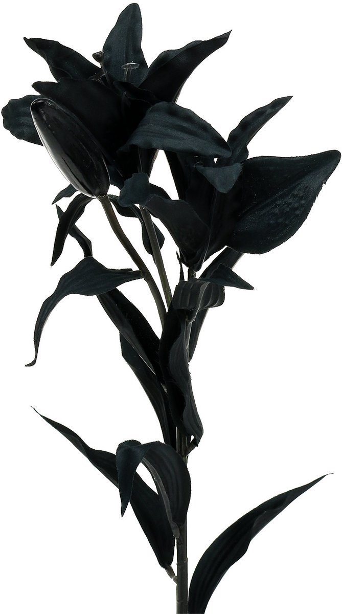 Viana Kunstbloem lelie zwart 84cm