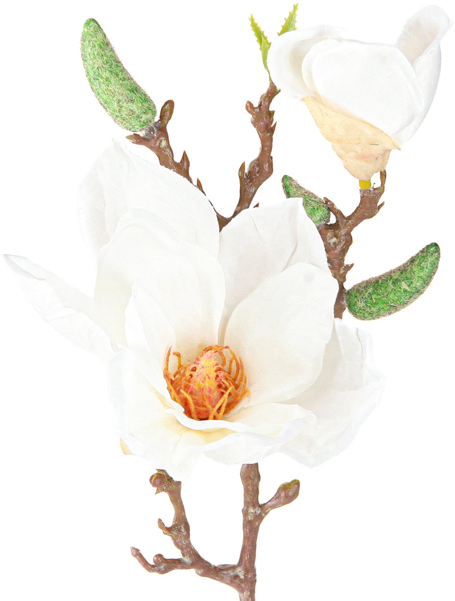 Viana Magnolia Witte Kunstbloemknoppen Decoratie Tak H40cm 2st