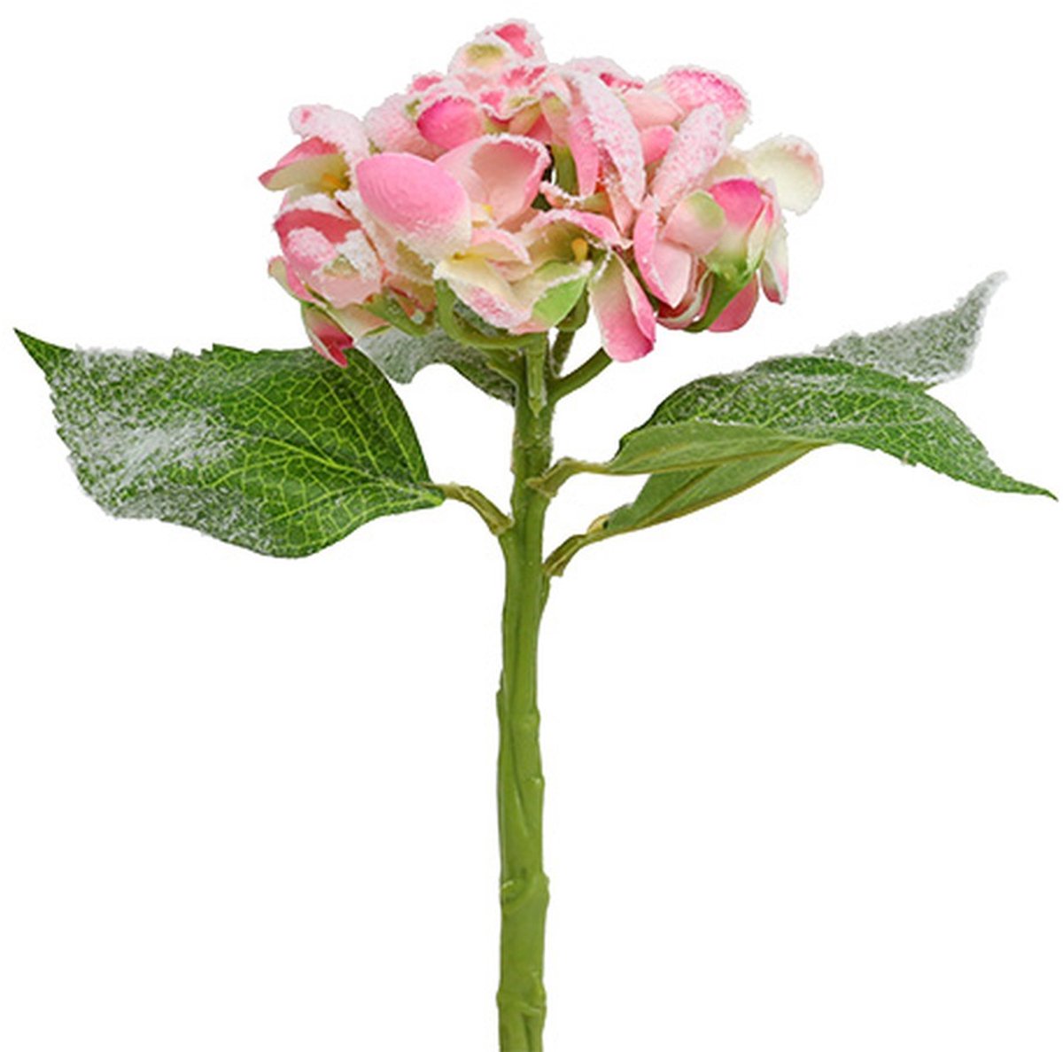 Viana Hortensia roze met sneeuw 33cm 4 st