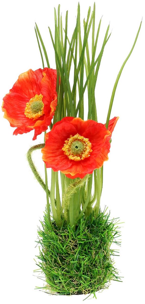 Viana Papaverrood in het gras 23cm