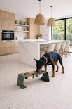 Zwarte Dobermann eet uit een dubbele voerbak op een verhoogd groen station in een moderne keuken.