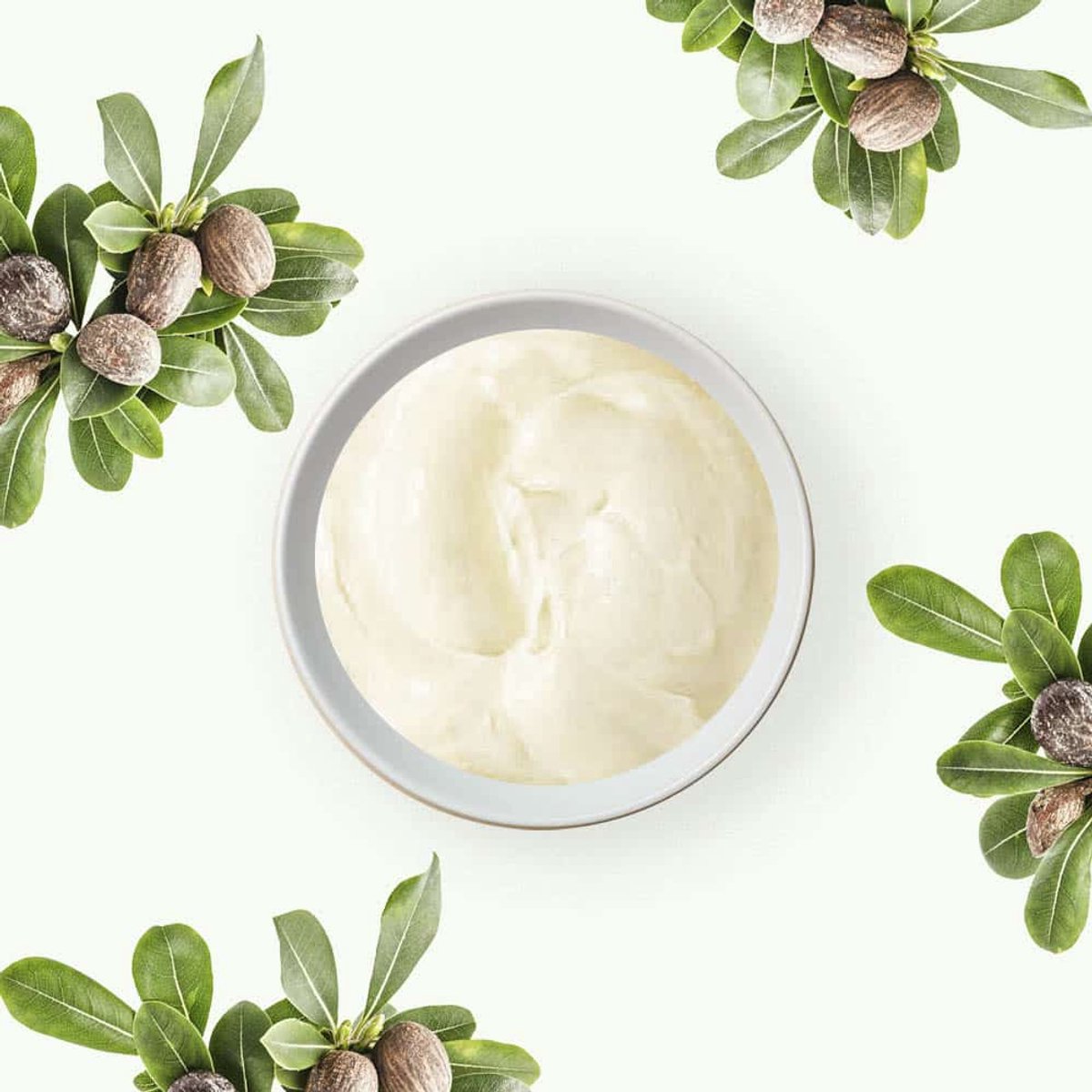 Shea Nilotica - Zachte Shea Butter Koudgeperst - 500 gr