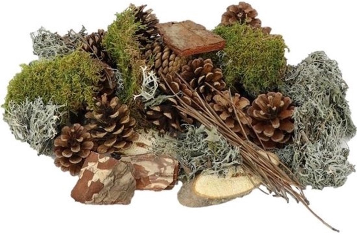 JUNAVERA Forest Mix XL mos en dennenappels | compleet pakket voor mos terrarium en decoratie 100% natuurlijk
