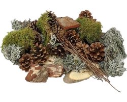JUNAVERA Forest Mix XL mos en dennenappels | compleet pakket voor mos terrarium en decoratie 100% natuurlijk