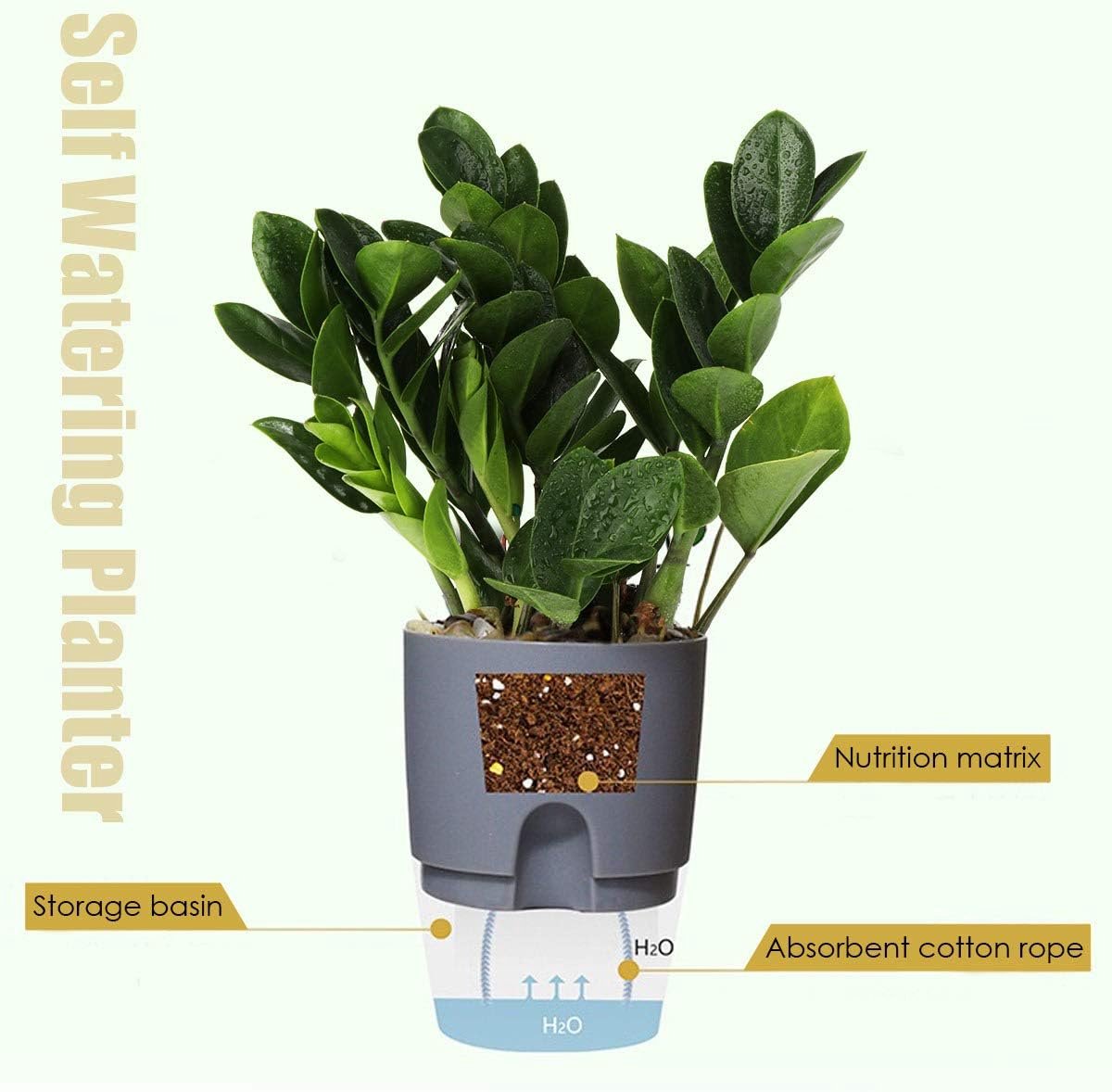 Set van 3 zelfwaterende bloempotten - Bloempotten - Transparante bloempotten - Met drainagegaten en waterabsorberend touw - Kunststof - Grijs — cadeau in Cadeau-ideeën - foto 7
