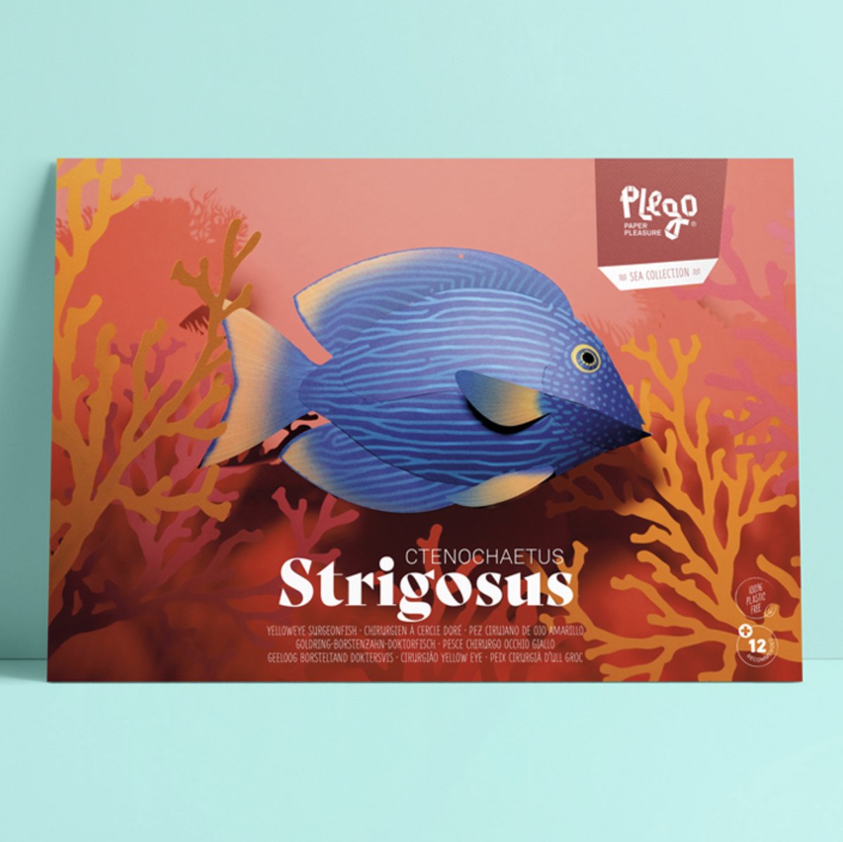 Plego 3D Design Vis - Papieren Figuur Sea Collection “STRIGOSUS / Geeloog Borsteltanddoktersvis” Decoratie - Papieren Vis - Papierdecoratie voor kinderen en volwassenen - DIY Pakket The kit contains 3 sheets of 200g colored paper Skill: