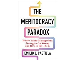 The Meritocracy Paradox