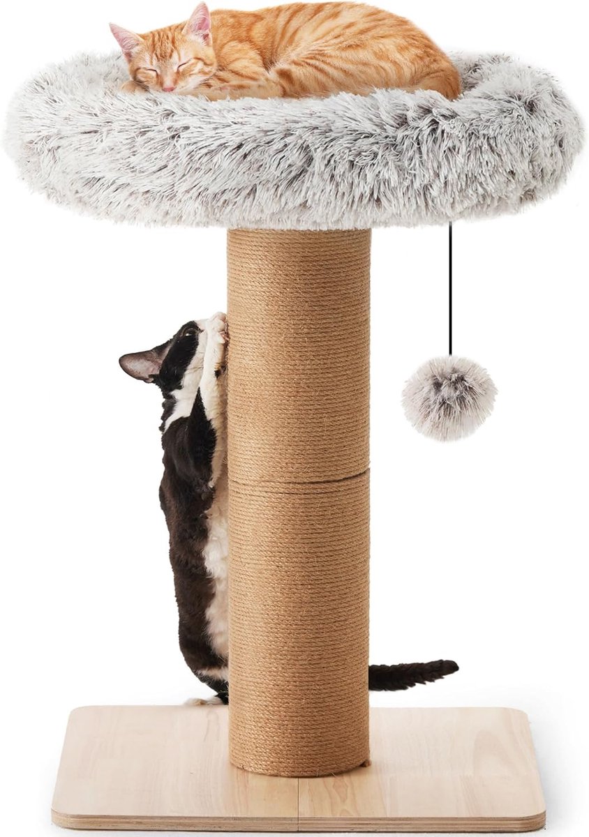 MELVRA Kattenkrabpaal - Krabpaal met Bed - Plantstijl - Massief Hout - Kattentoren - Natuurlijk Jute - Klimboom voor Binnenkatten