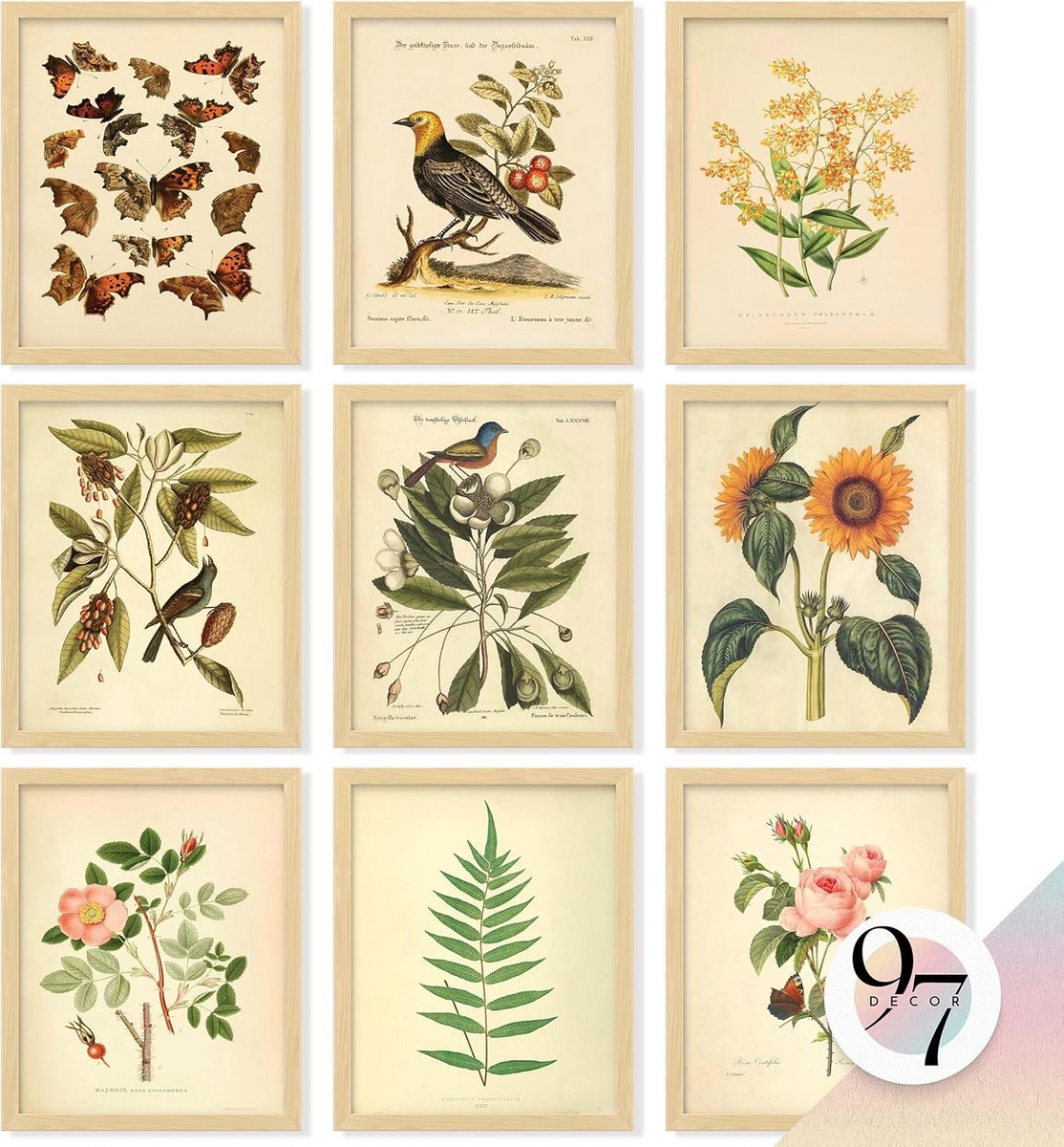 Set van 97 Vintage Botanische Wanddecoratie Posters - Natuurprints voor Woonkamer en Slaapkamer Esthetiek