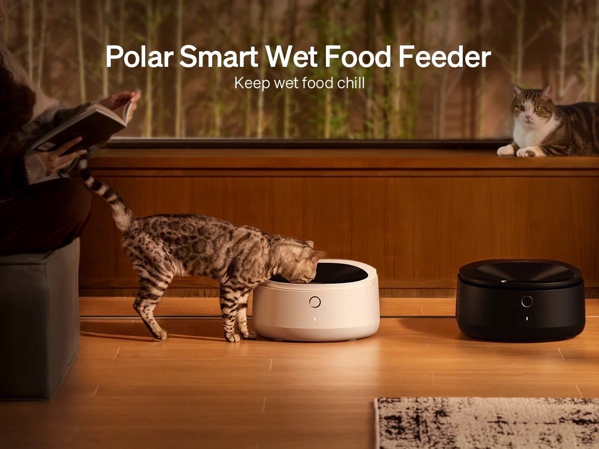 Petlibro Polar Automatische Natvoerdispenser Wit thumbnail 5