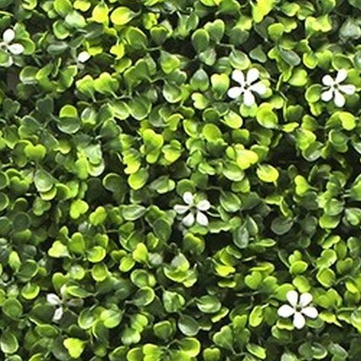 Buitengewoon Boet Kunstplanten mat 50x50 cm buxus jasmijn Buitengewoon de Boet groen
