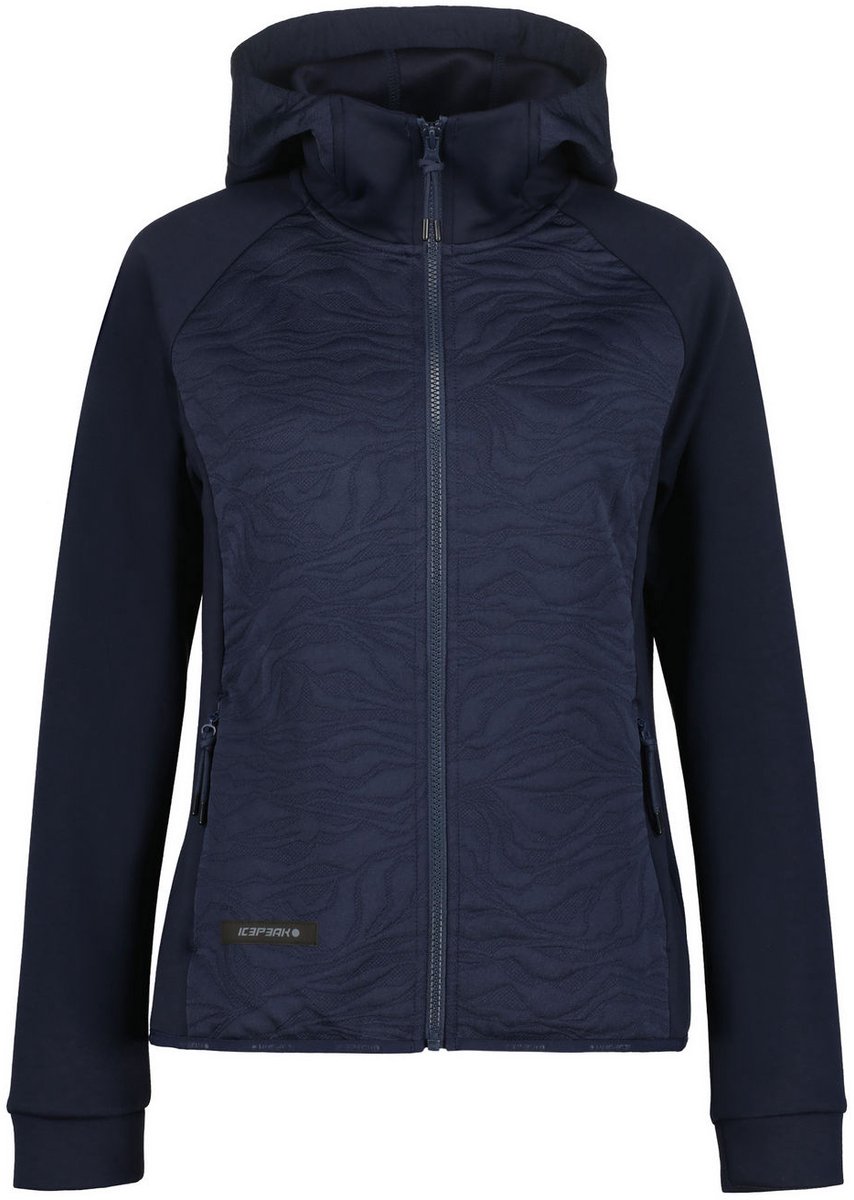 Icepeak Amberg – Outdoor Kleding Fleeces en Truien Fleece Blauw