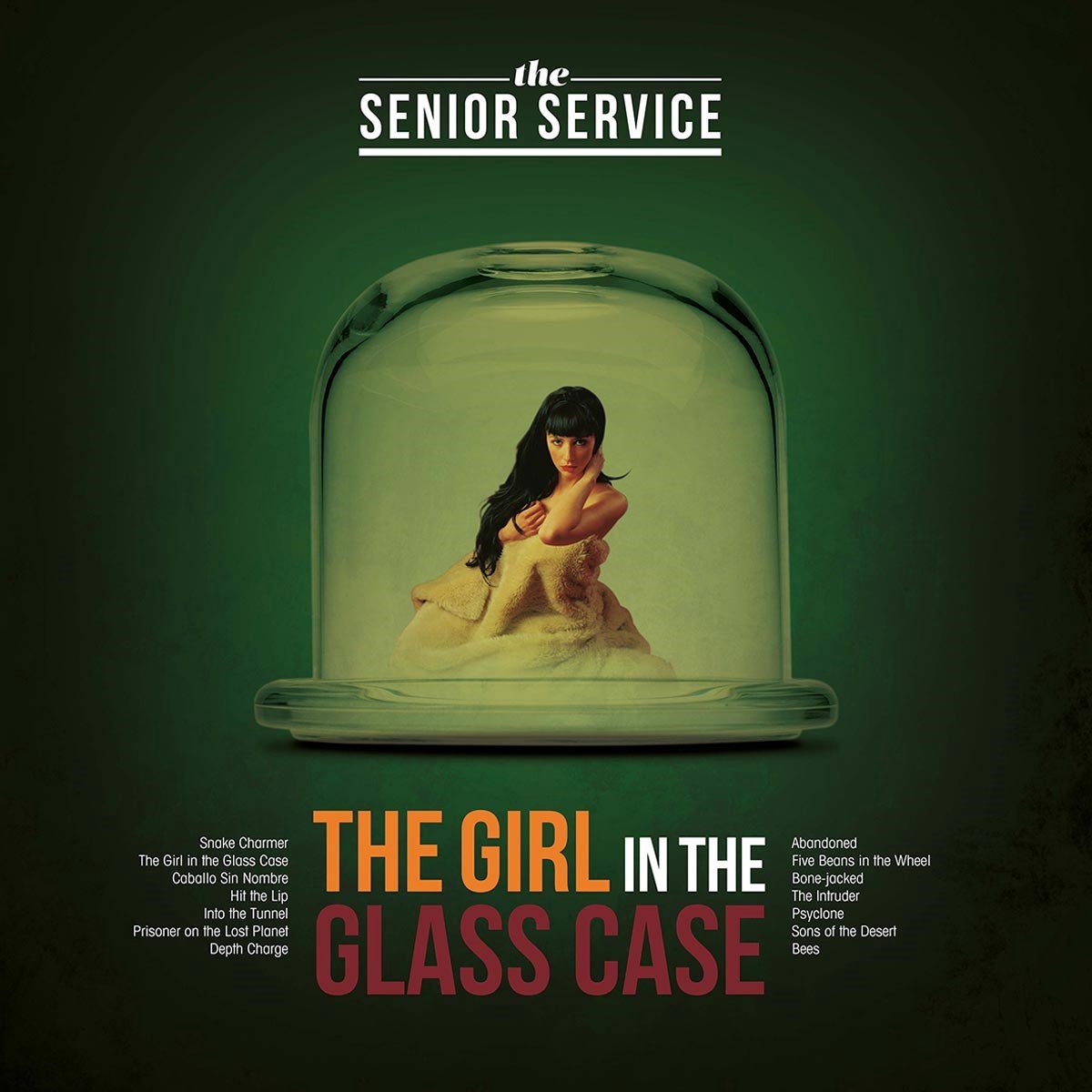 The Girl in the Glass Case