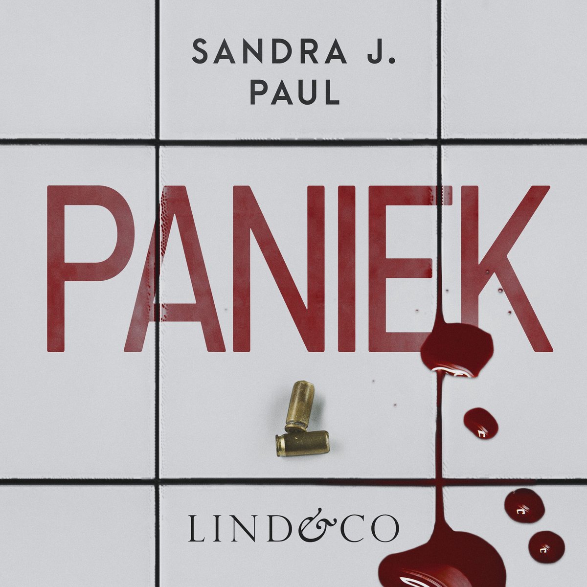 Omslag van Paniek