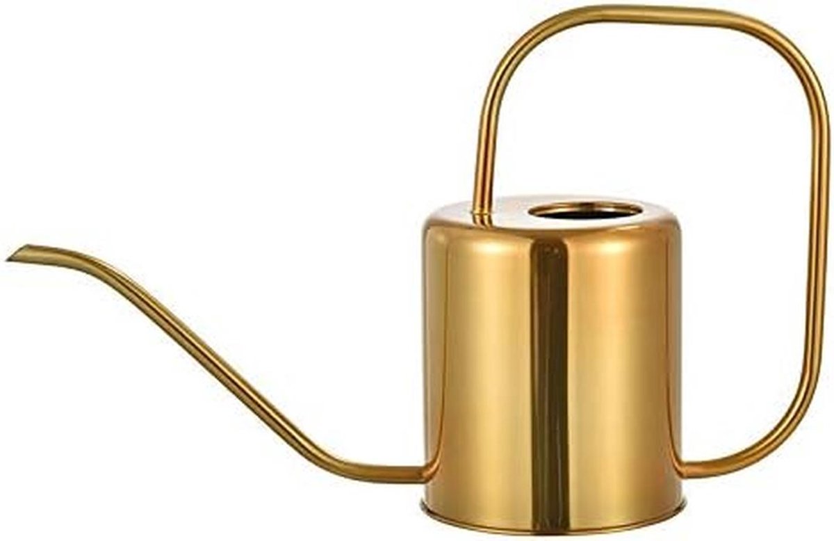 Roestvrijstalen Gieter 0,3 - 2 Liter | Goud of Zilver | Voor Huisplanten & Tuin | Comfortabel Handvat