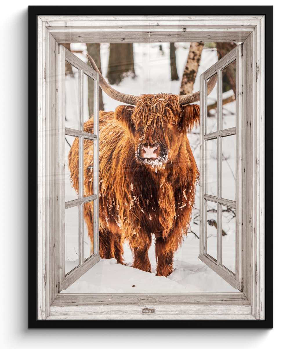 FrameYourWall Poster in lijst - Fotolijst 50x70 cm - Posters - Schotse Hooglander - Sneeuw - Winter - Natuur - Dier - Doorkijk - Landelijk - Posterlijst zwart - Decoratie - Wanddecoratie woonkamer - Muurdecoratie slaapkamer