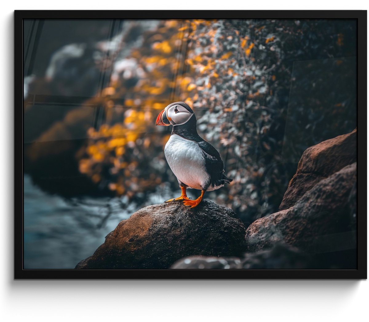 FrameYourWall Poster in lijst - Fotolijst 70x50 cm - Posters - Papegaai - Vogel - Rots - Wit - Posterlijst zwart - Decoratie - Wanddecoratie woonkamer - Muurdecoratie slaapkamer Papegaaiduiker