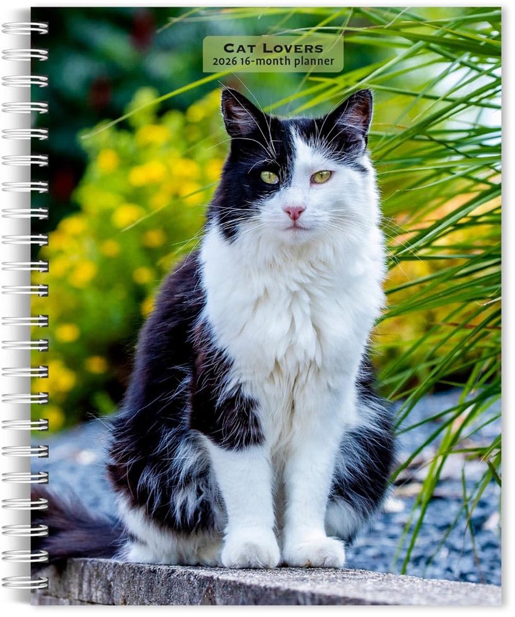 Weekplanner 2026 Katten - Hardcover Agenda met Wekelijkse Indeling en Kleurafbeeldingen
