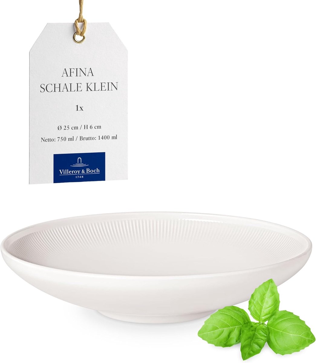 Grote Saladeschaal of Serveerschaal Modern Design 25 cm