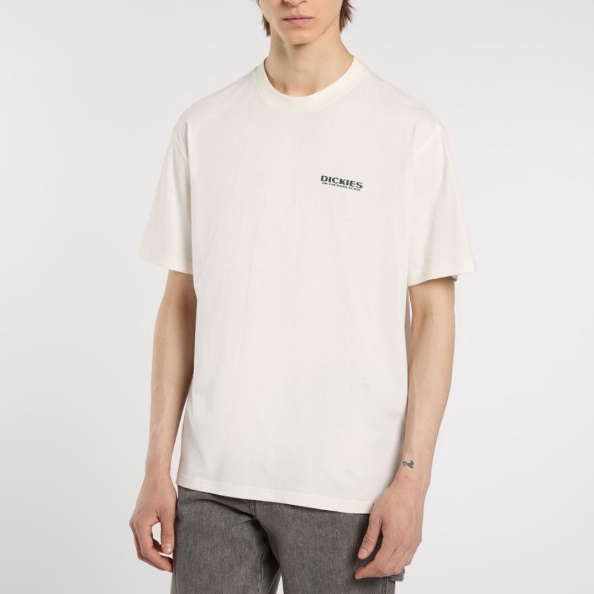 DICKIES BURNS TEE XXL EU Wit