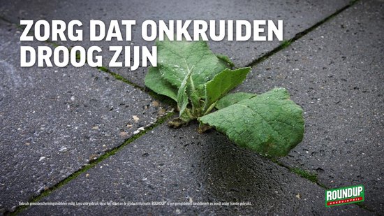 Roundup Totaal Onkruidvrij Kant en Klaar Spray incl. Drukspuit - 5L voor 50m² - Onkruidverdelger - Onkruidverwijderaars zonder glyfosaat van Roundup — afbeelding 3