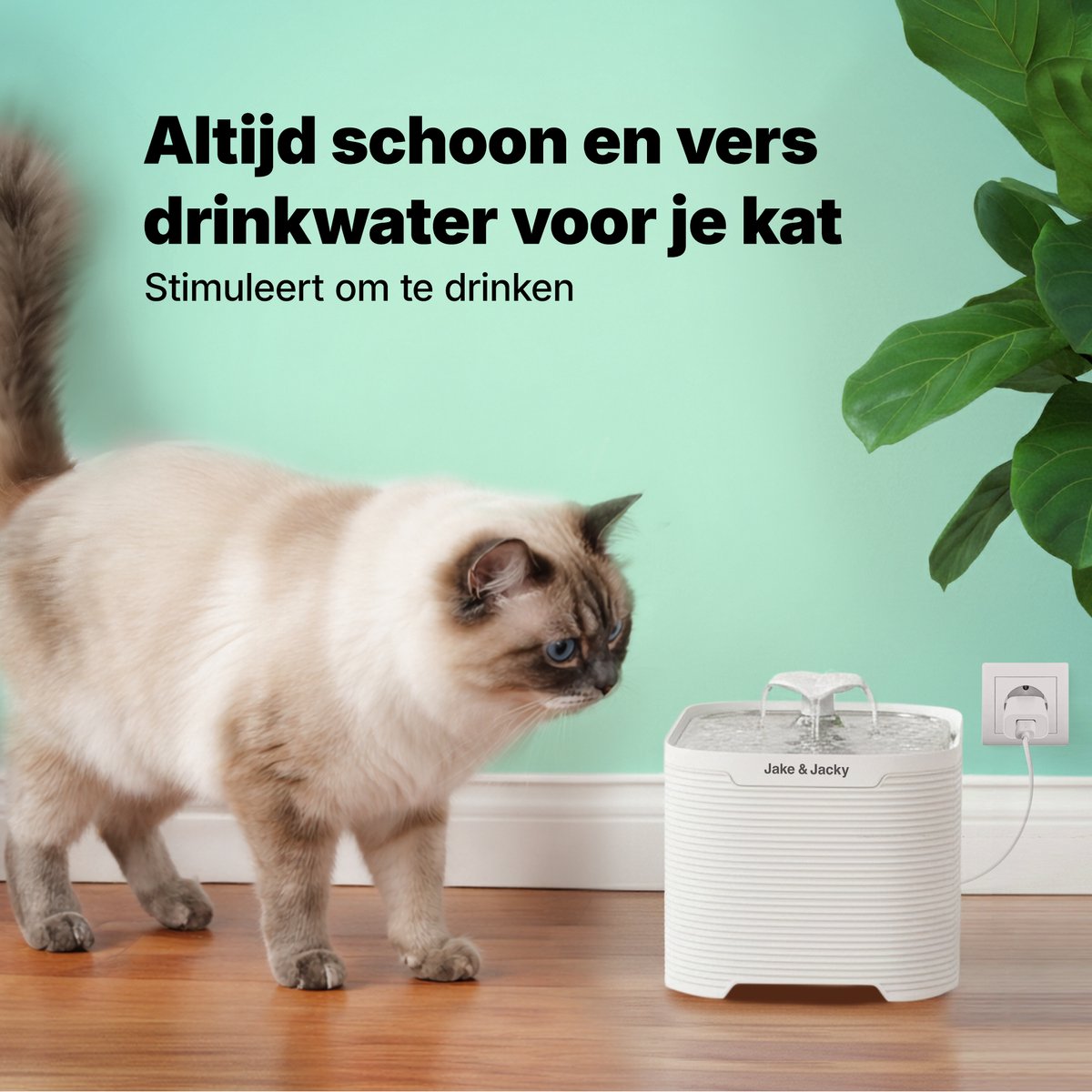 Jake and Jacky RVS Drinkfontein Kat 2,5L thumbnail 2