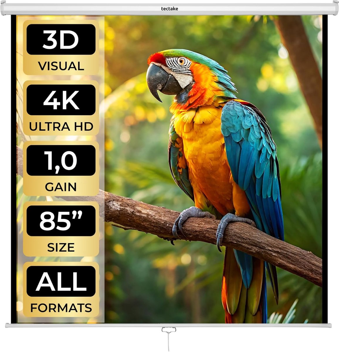 Projectiescherm - Beamer Scherm - Home Cinema - Zonder Kreukels - 152 x 152 cm - Wit