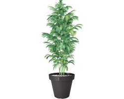 Pot de fleurs série e&k round 50, anNampook