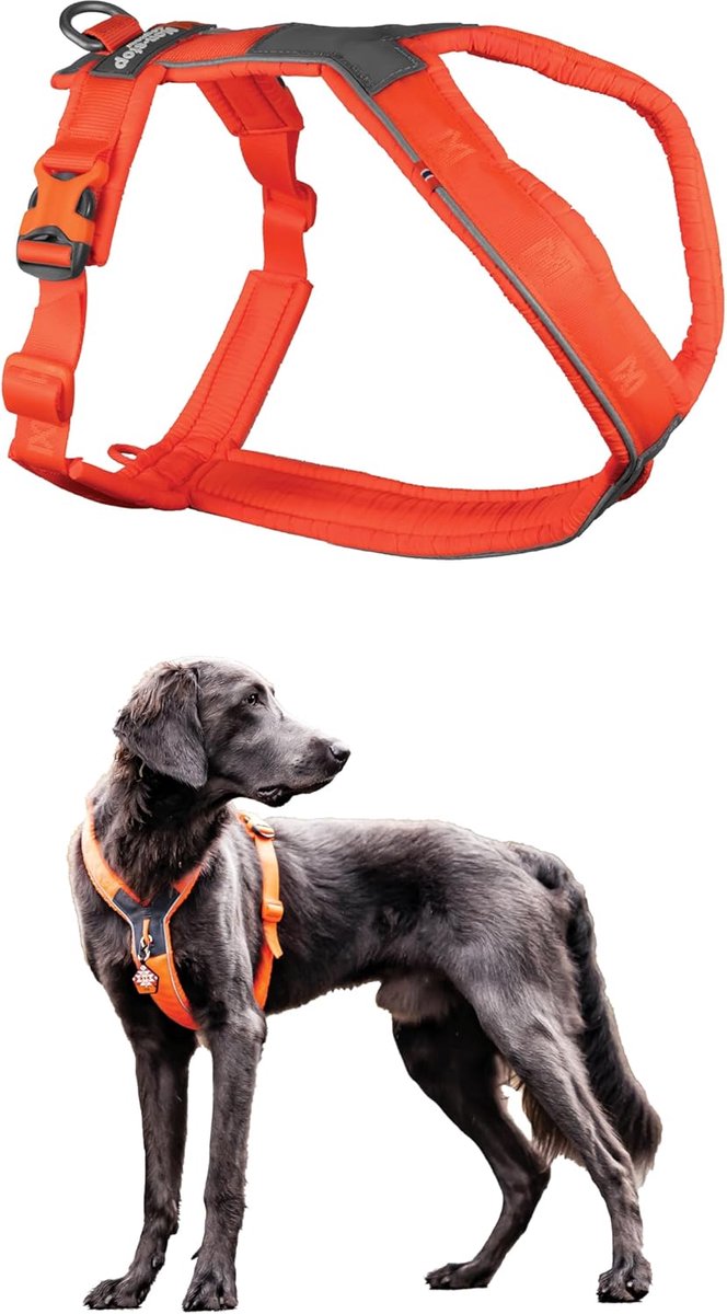 Honden Tuigje - Harnas Hond - Dagelijks Gebruik - Verstelbaar Borstpand - Maat G4 - Oranje