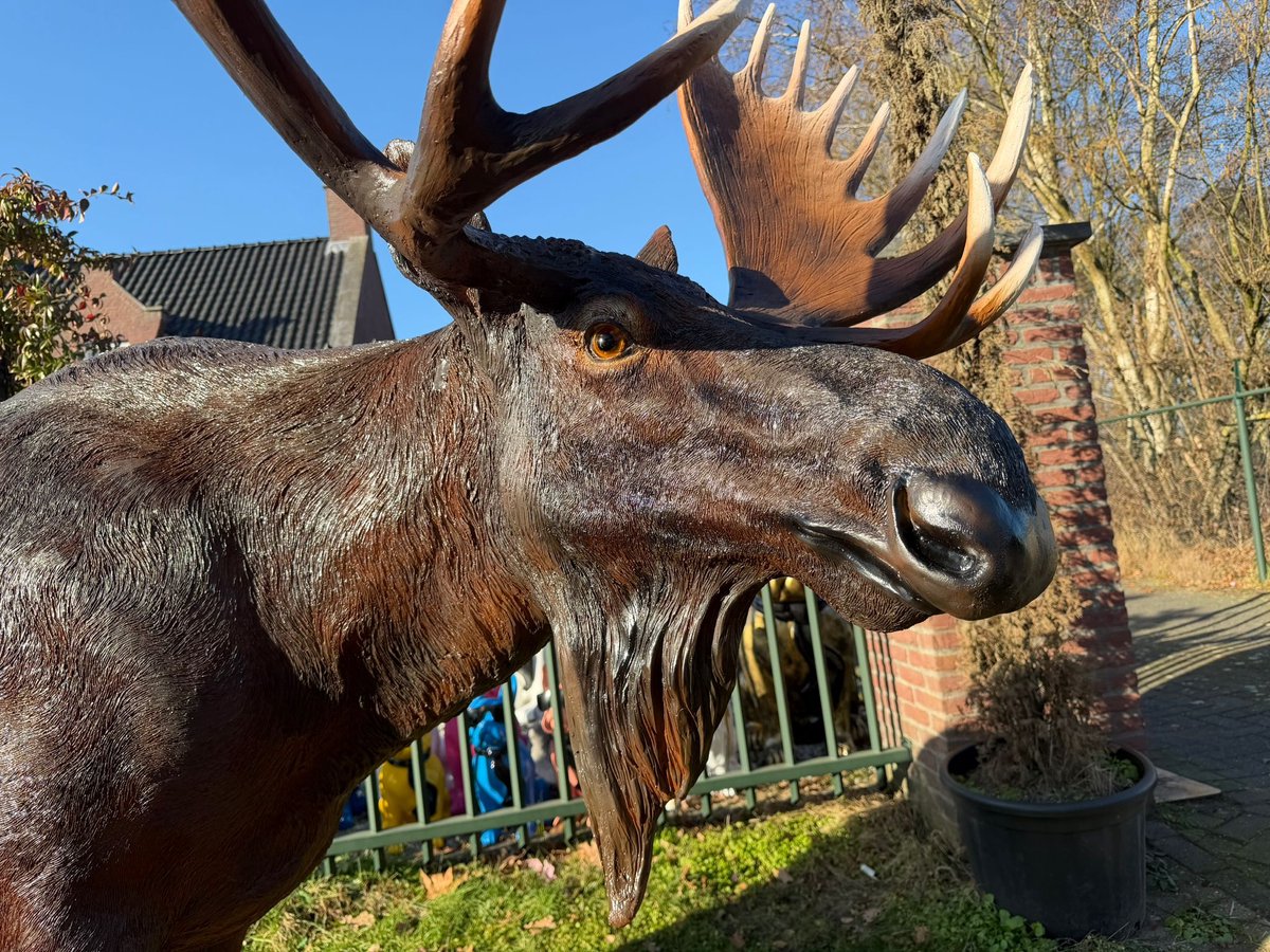 Goodyz - Wilde dieren - Herten - Eland - levensechte Eland - XXXXL - 300cm lang