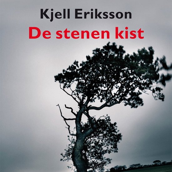 De stenen kist - cover